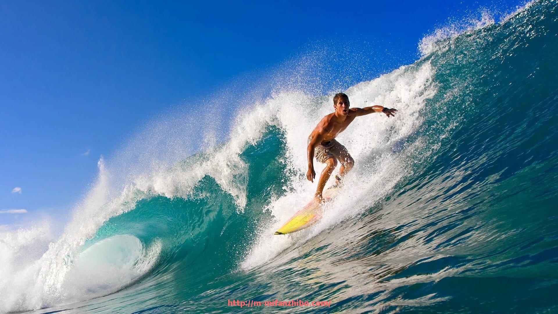 秘饭直播-全面了解电动健身器材的种类与使用效果详解