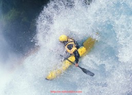 秘饭直播-2025年意甲球队身价排行榜出炉