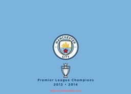 秘饭直播-champion意甲球队赞助现状与合作策略