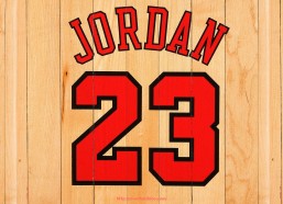 秘饭直播-力健健身器材英文名称及体育产品介绍