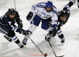 秘饭直播-世俱杯比赛教练技术越界惩罚措施细则及案例分析